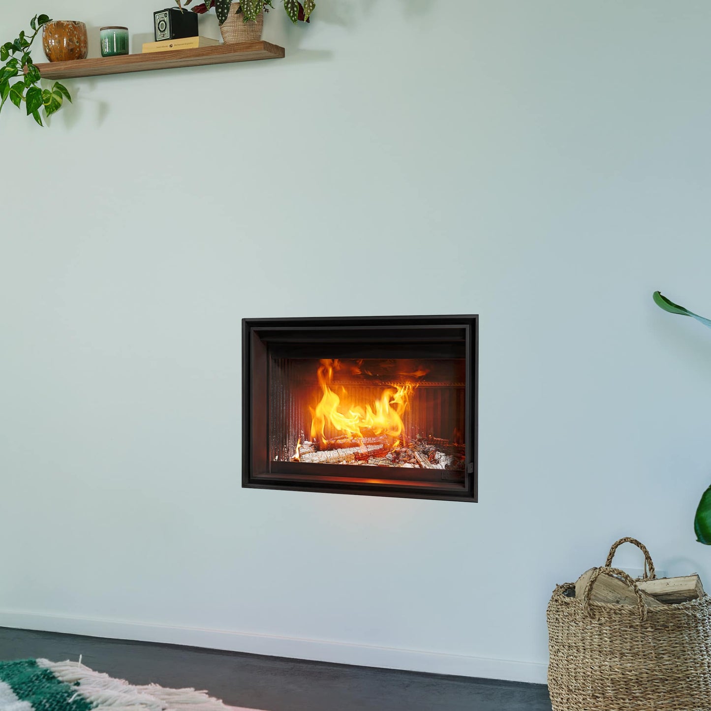 Barbas Evo-7 65-40